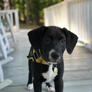 Meet your Posher, Sally